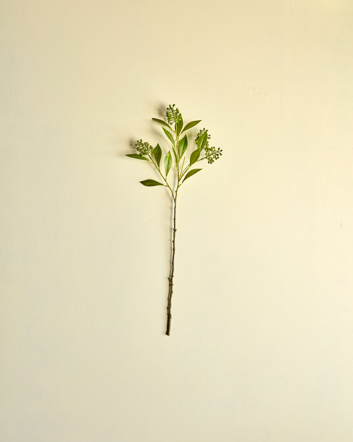 Artificial branch, HDLigustrum, Grün