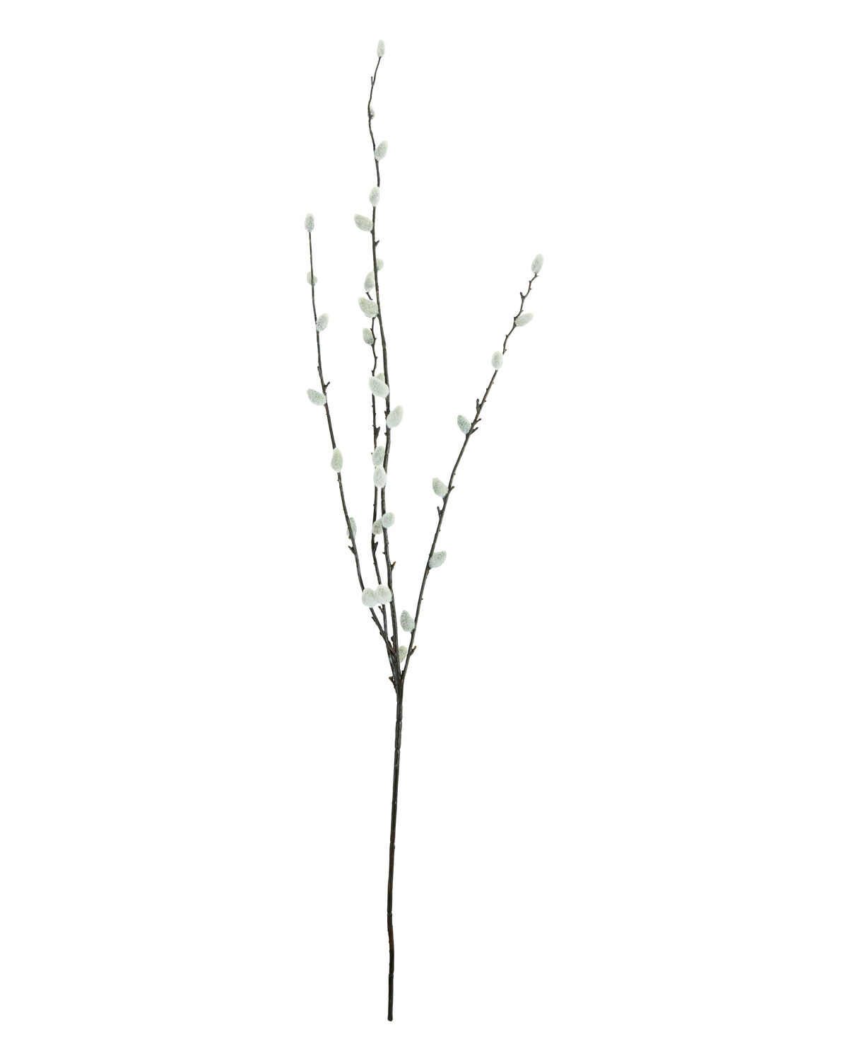 Artificial branch, HDSalix, Grün