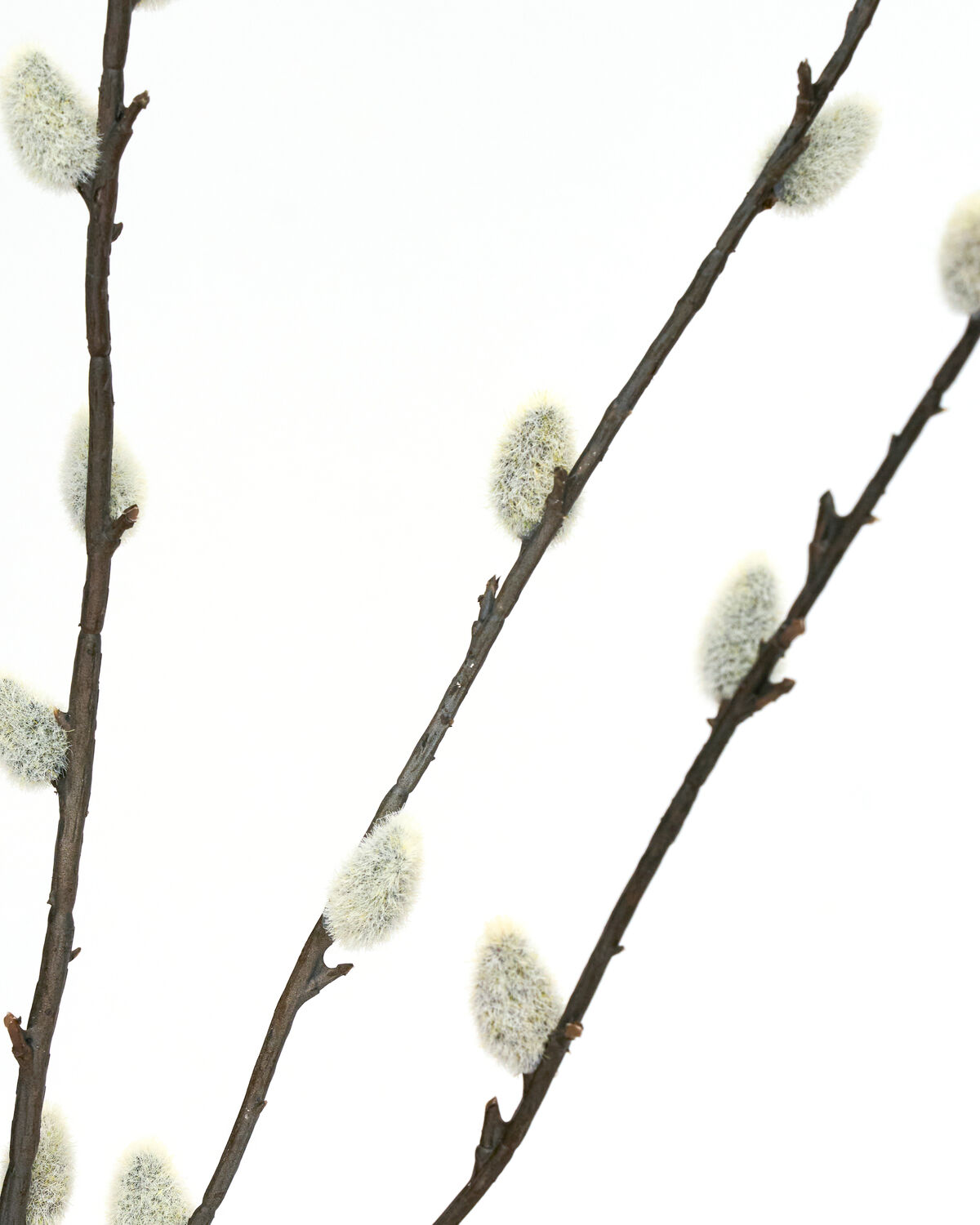 Artificial branch, HDSalix, Grün