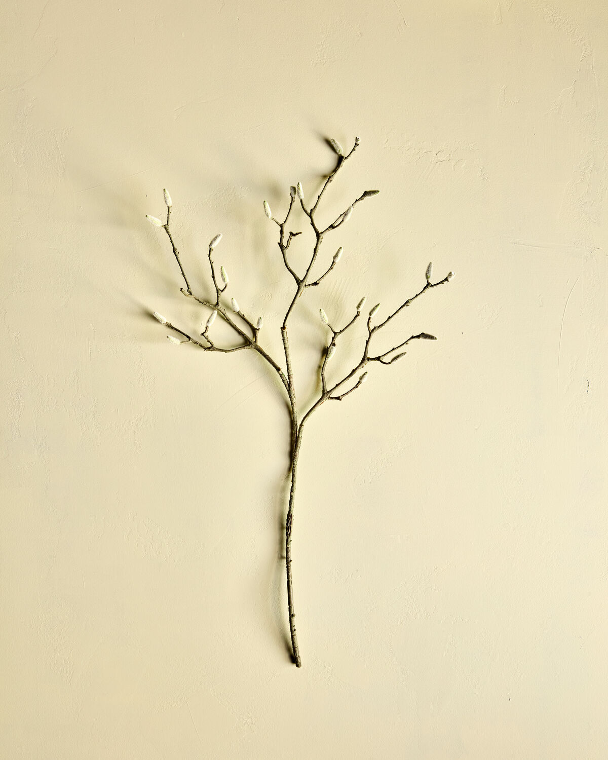 Artificial branch, HDMagnolia, Weiß