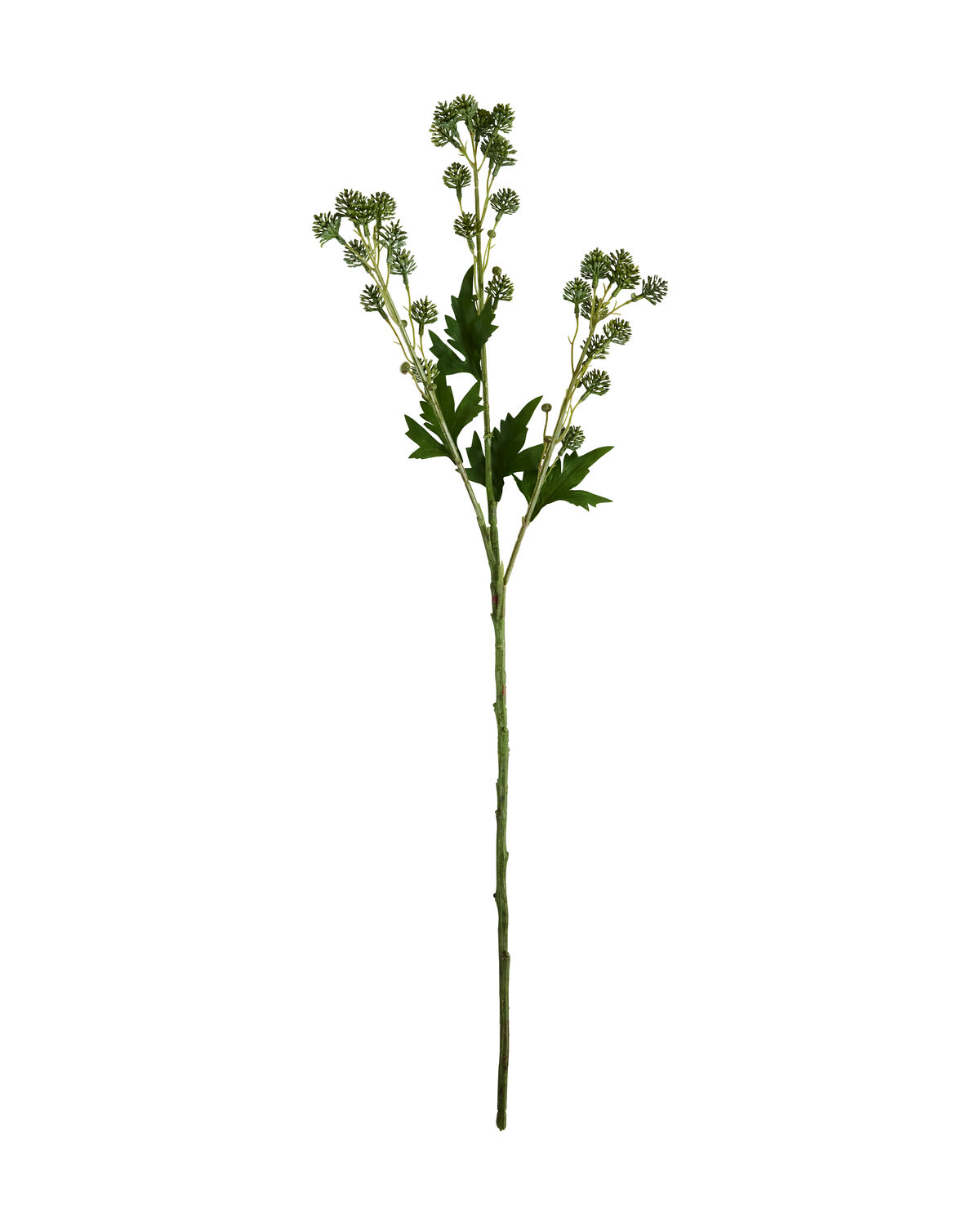 Artificial branch, HDSedum, Grün