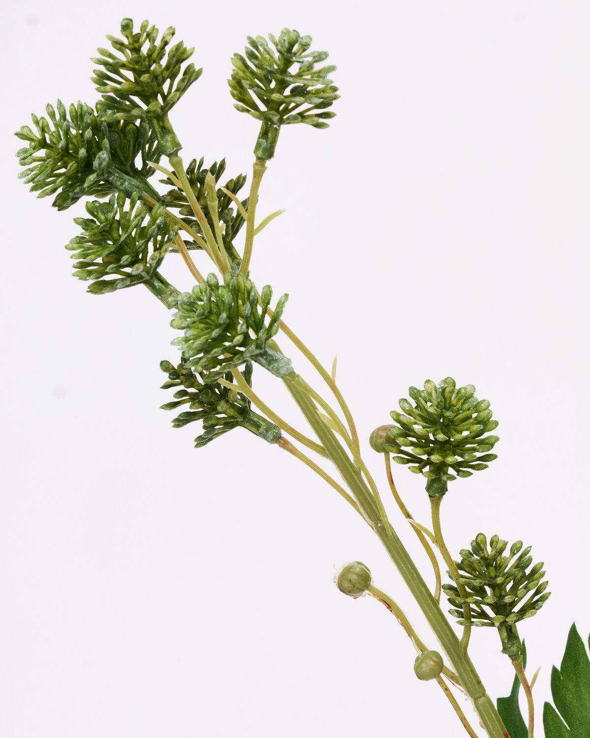 Artificial branch, HDSedum, Grün