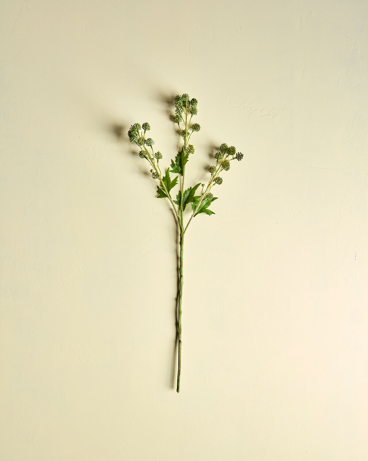 Artificial branch, HDSedum, Grün