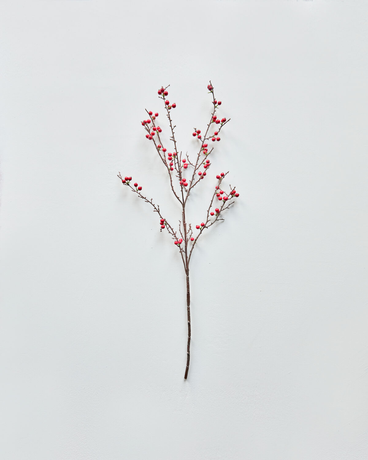 Artificial branch, HDDecor, Rot
