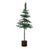 Weihnachtsbaum, HDPine, Grün