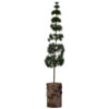 Weihnachtsbaum, HDPine, Grün